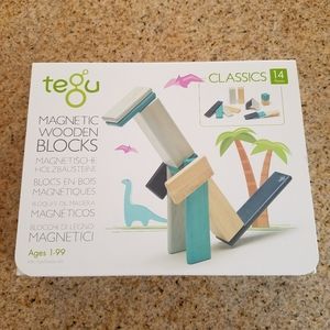 Tegu Wooden Magnetic Blocks